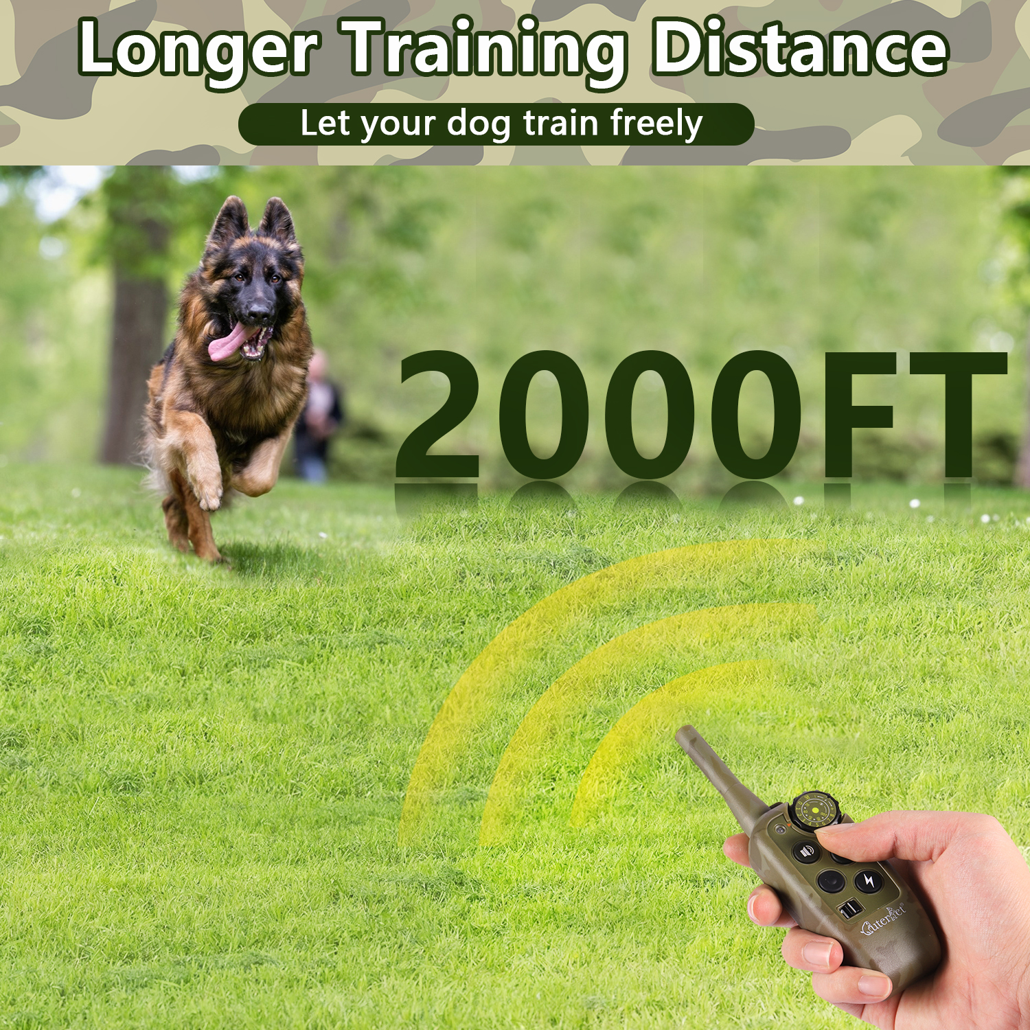 1000m Electric Dog Training Co - đánh giá và giá Hot Dog Press