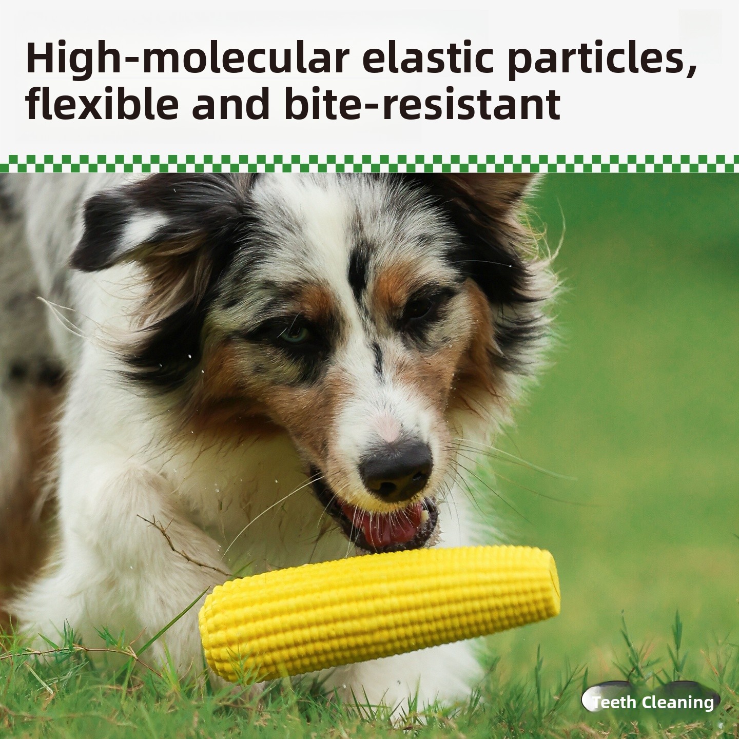 QZee Durable ETPU Corn Dog Toy - đánh giá và giá Corn Dog Stick