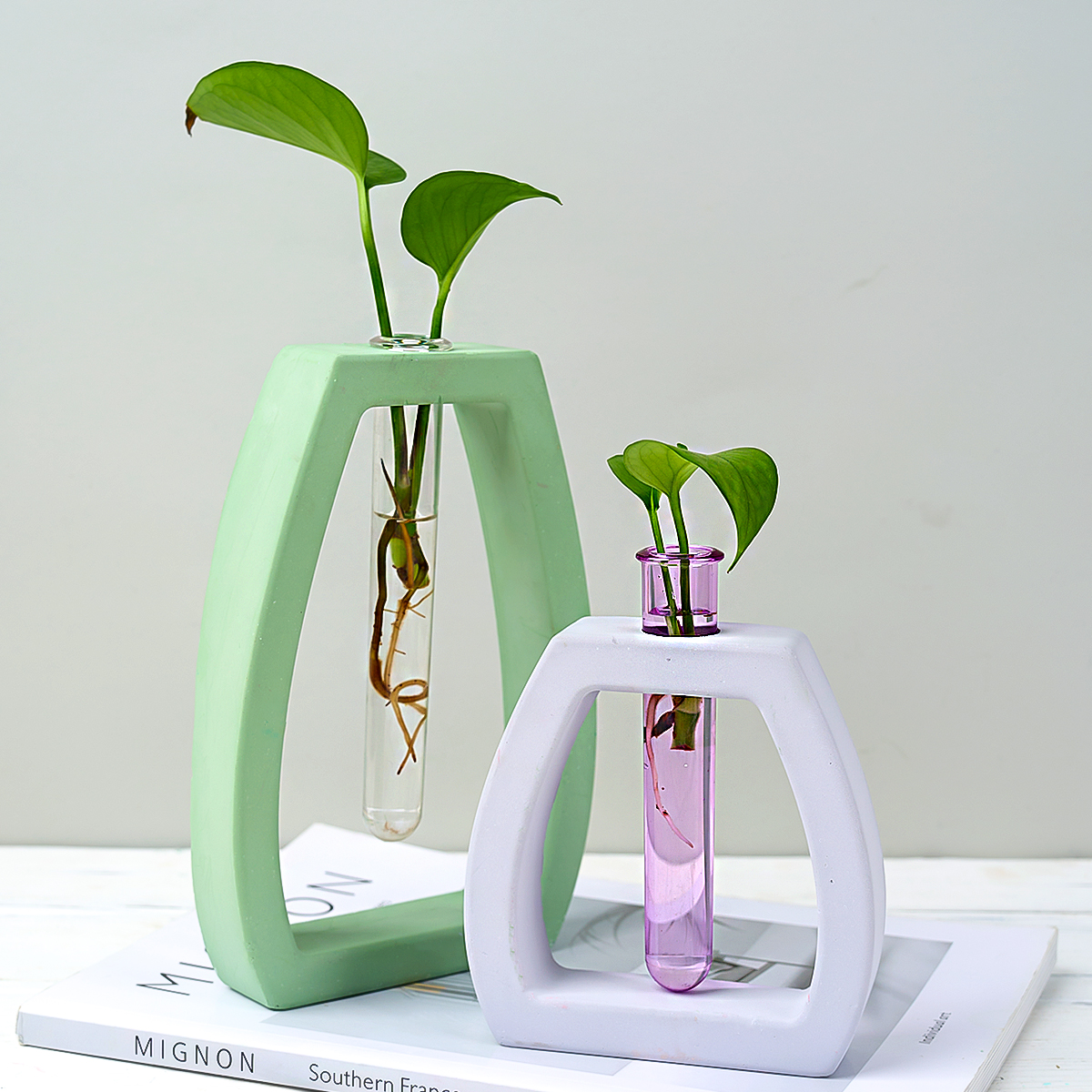 Hydroponic Test Tube Vase Sili - đánh giá và giá Potsticker Mold