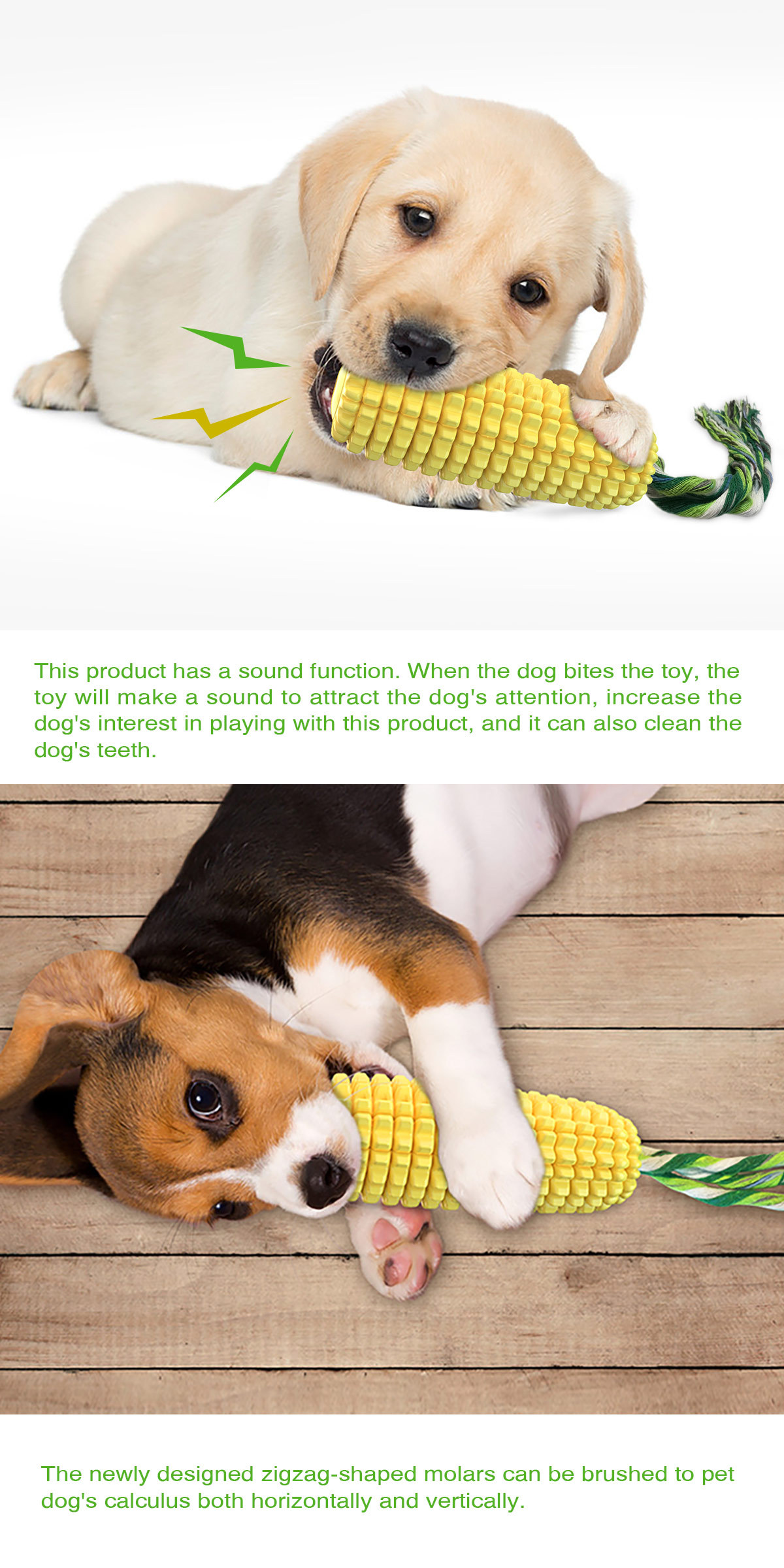 Hot Selling Large Size Corn Sh - đánh giá và giá Corn Dog Stick