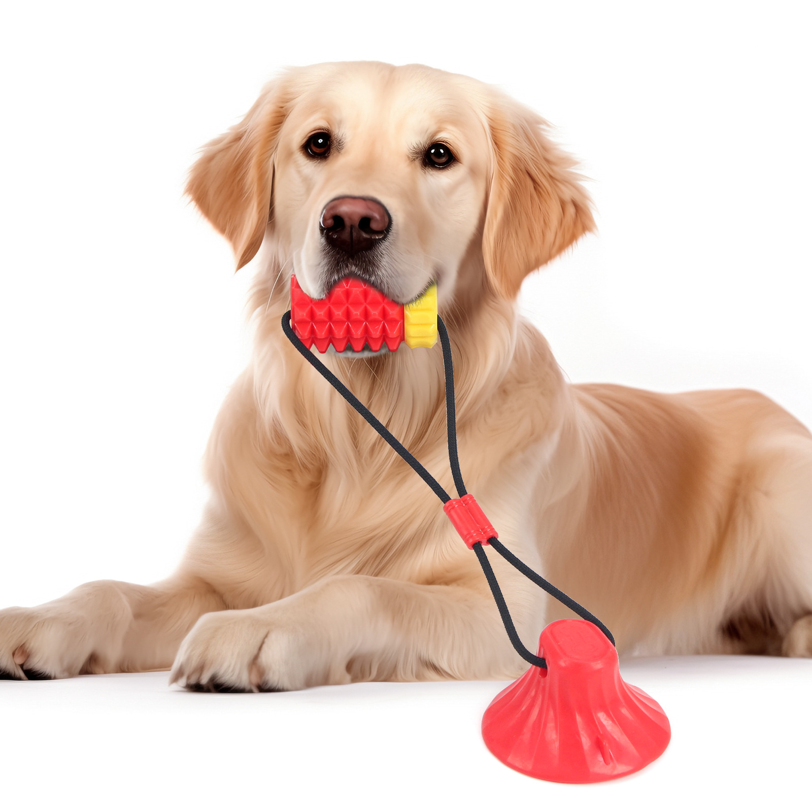 Simulated Corn Cob TPR Dog Toy - đánh giá và giá Corn Dog Stick