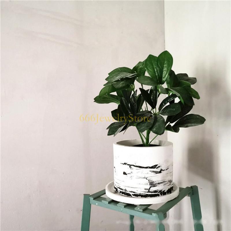 F2TD Large Round Concrete Flow - đánh giá và giá Potsticker Mold